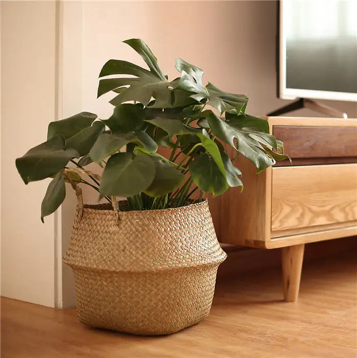 Eco-Friendly Rattan Garden Basket